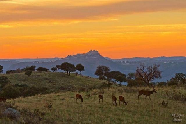 Alojamiento Rural Dehesa La Estancia Andújar المظهر الخارجي الصورة
